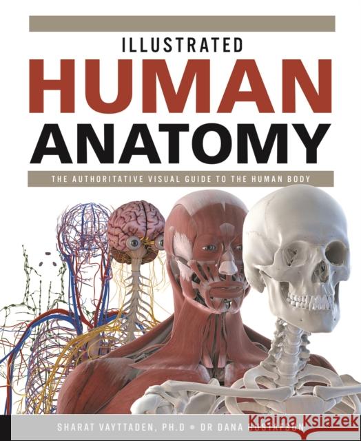 Illustrated Human Anatomy: The Authoritative Visual Guide to the Human Body Vayttaden, Sharat 9780228103035 Firefly Books