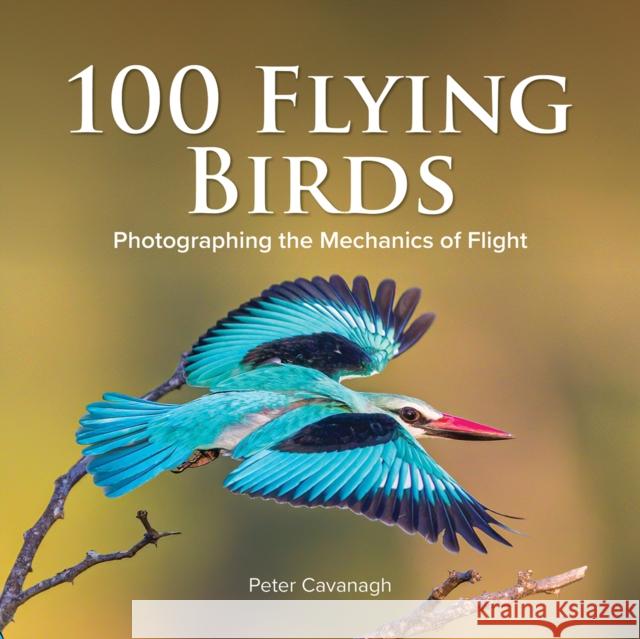 100 FLYING BIRDS PETER CAVANAGH 9780228103332 CHRIS LLOYD