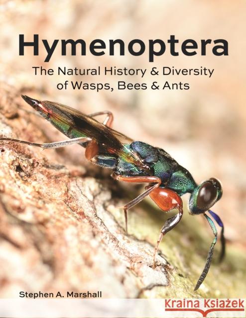 Hymenoptera: The Natural History and Diversity of Wasps, Bees and Ants Stephen A. Marshall 9780228103714