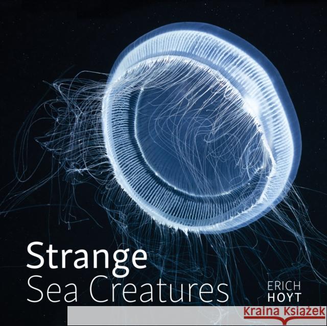 Strange Sea Creatures Erich Hoyt 9780228104674 Firefly Books