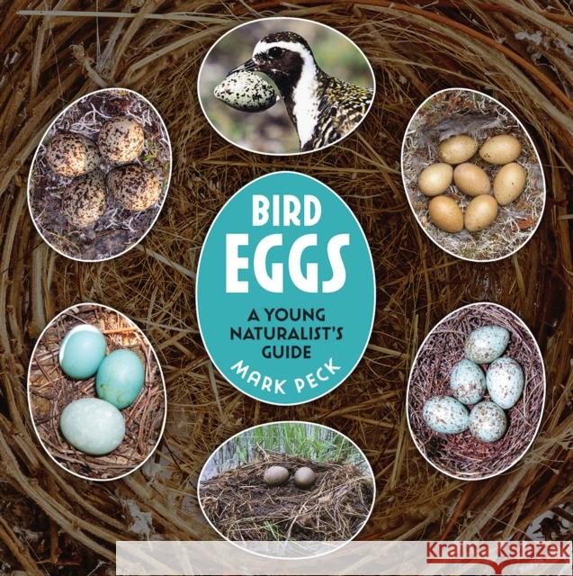 Bird Eggs: A Young Naturalist's Guide Mark Peck 9780228104834 Firefly Books