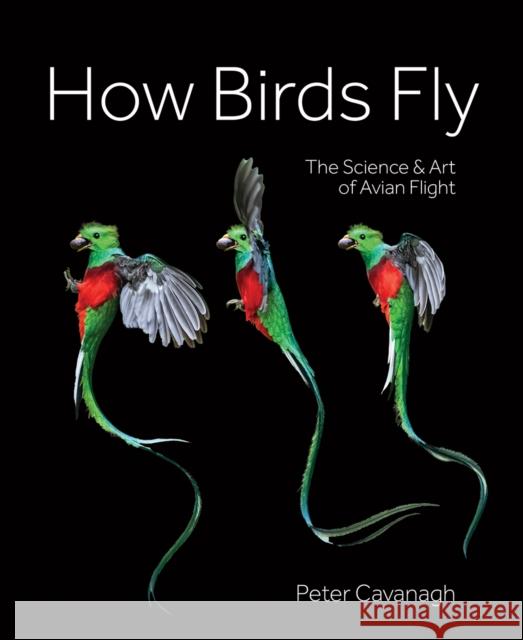 How Birds Fly: The Science and Art of Avian Flight Peter Cavanagh 9780228104865 Firefly Books