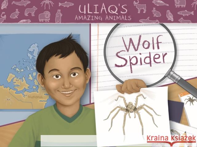 Uliaq's Amazing Animals: Wolf Spider: English Edition Christopher, Danny 9780228705345 Inhabit Education Books Inc.