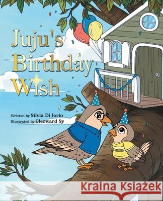 Juju's Birthday Wish Silvia D 9780228834861