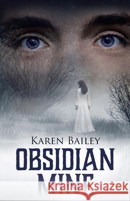 Obsidian Mine Karen Bailey 9780228835158 Tellwell Talent