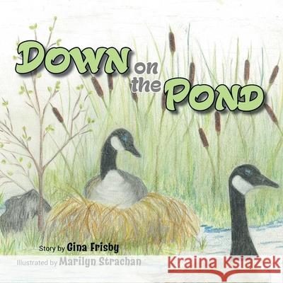 Down on the Pond Gina Frisby Marilyn Strachan 9780228835646