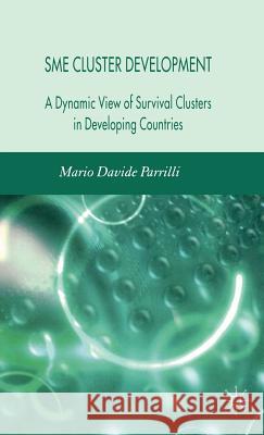 Sme Cluster Development: A Dynamic View of Survival Clusters in Developing Countries Parrilli, M. 9780230007970 Palgrave MacMillan