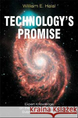 Technology's Promise: Expert Knowledge on the Transformation of Business and Society Halal, William E. 9780230019546 Palgrave MacMillan