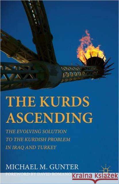 The Kurds Ascending: The Evolving Solution to the Kurdish Problem in Iraq and Turkey Romano, David 9780230112872