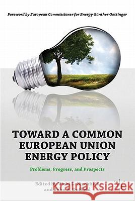 Toward a Common European Union Energy Policy: Problems, Progress, and Prospects Birchfield, V. 9780230113190 Palgrave MacMillan