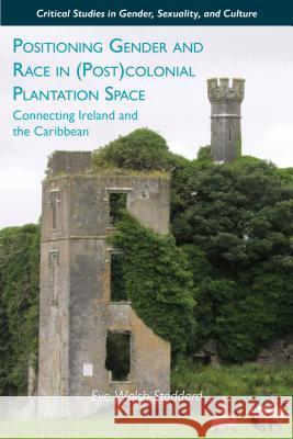 Positioning Gender and Race in (Post)Colonial Plantation Space: Connecting Ireland and the Caribbean Stoddard, E. 9780230113725 0