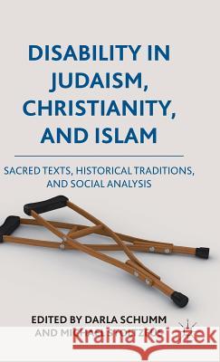 Disability in Judaism, Christianity, and Islam: Sacred Texts, Historical Traditions, and Social Analysis Schumm, Darla 9780230119727 Palgrave MacMillan