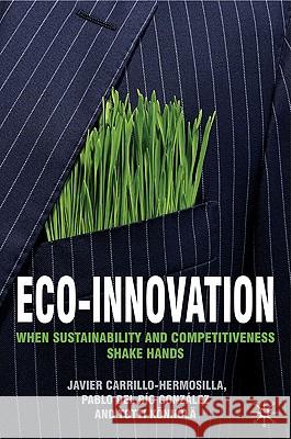 Eco-Innovation: When Sustainability and Competitiveness Shake Hands Carrillo-Hermosilla, Javier 9780230202061