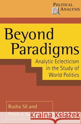 Beyond Paradigms: Analytic Eclecticism in the Study of World Politics Sil, Rudra 9780230207967 0