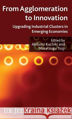 From Agglomeration to Innovation: Upgrading Industrial Clusters in Emerging Economies Kuchiki, A. 9780230233102 Palgrave MacMillan