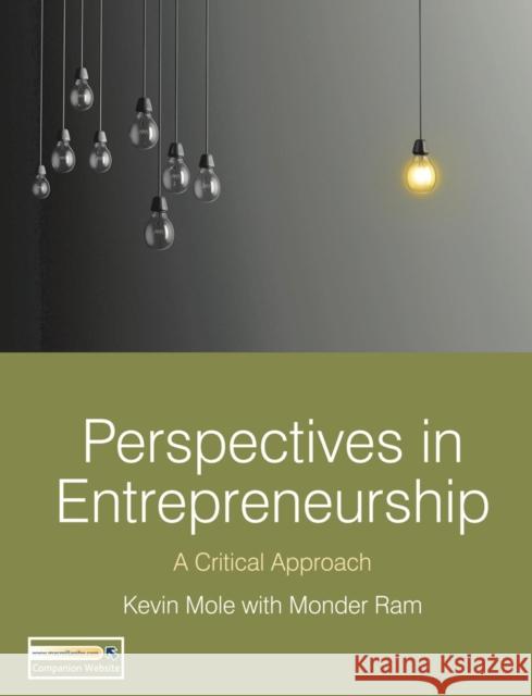 Perspectives in Entrepreneurship: A Critical Approach Mole, Kevin 9780230241107 0
