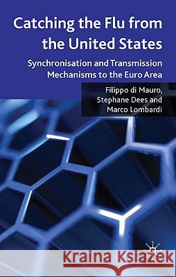 Catching the Flu from the United States: Synchronisation and Transmission Mechanisms to the Euro Area Di Mauro, Filippo 9780230243231 Palgrave MacMillan