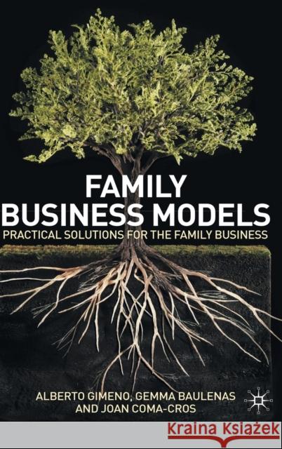 Family Business Models: Practical Solutions for the Family Business Gimeno, A. 9780230246522