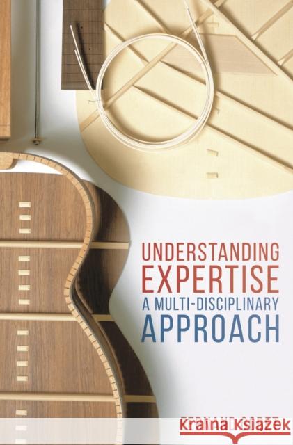 Understanding Expertise: A Multi-Disciplinary Approach Fernand Gobet 9780230276246 Palgrave Macmillan Higher Ed