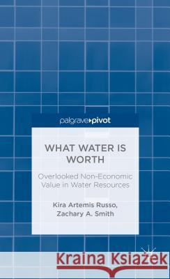 What Water Is Worth: Overlooked Non-Economic Value in Water Resources Kira Artemis Russo Zachary A. Smith A. Smith Zachary 9780230340763 Palgrave Pivot