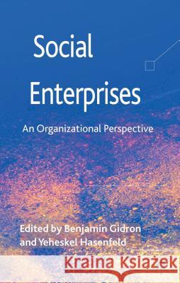 Social Enterprises: An Organizational Perspective Gidron, B. 9780230358799 Palgrave MacMillan