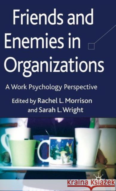 Friends and Enemies in Organizations: A Work Psychology Perspective Morrison, R. 9780230538764 Palgrave MacMillan