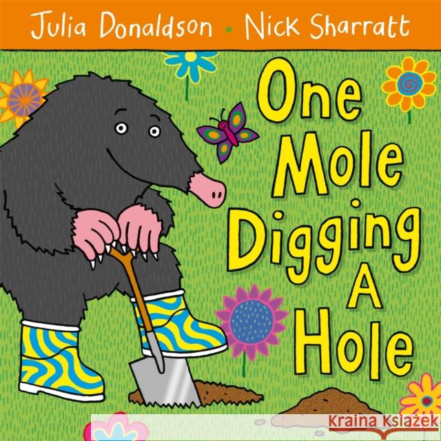 One Mole Digging A Hole Julia Donaldson 9780230706477 0