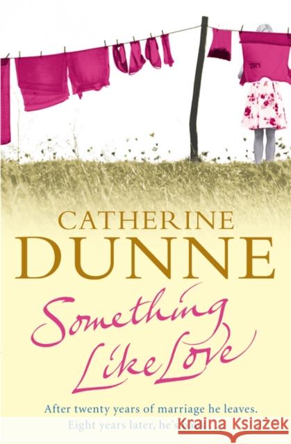 Something Like Love Catherine Dunne 9780230765849