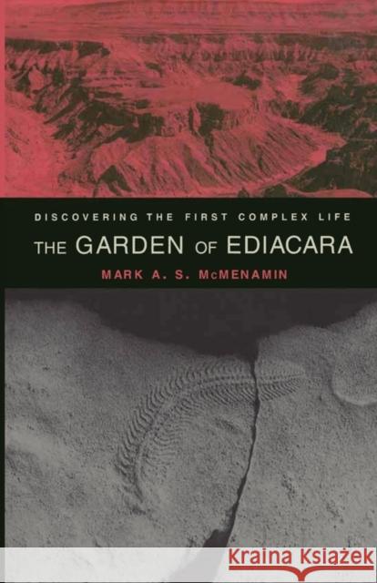 The Garden of Ediacara: Discovering the First Complex Life McMenamin, Mark A. S. 9780231105590 Columbia University Press