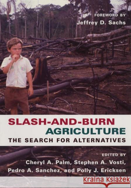 Slash-and-Burn Agriculture : The Search for Alternatives Cheryl Palm Stephen A. Vosti Pedro A. Sanchez 9780231134514 