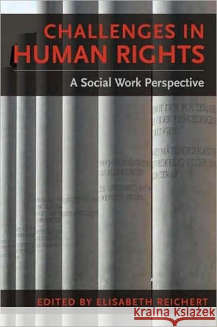 Challenges in Human Rights: A Social Work Perspective Reichert, Elisabeth 9780231137201 Columbia University Press