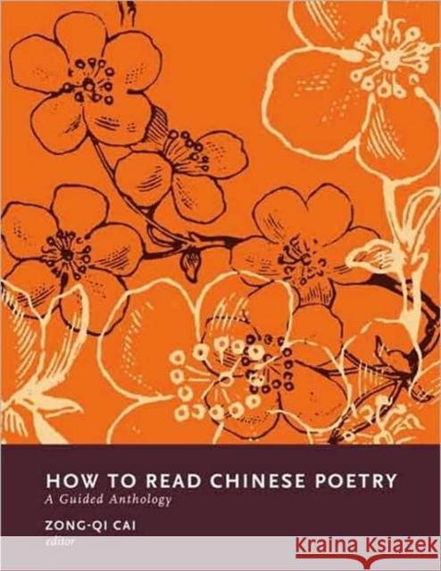 How to Read Chinese Poetry: A Guided Anthology Cai, Zong-Qi 9780231139403