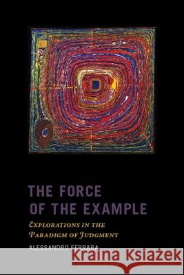 The Force of the Example: Explorations in the Paradigm of Judgment Ferrara, Alessandro 9780231140720