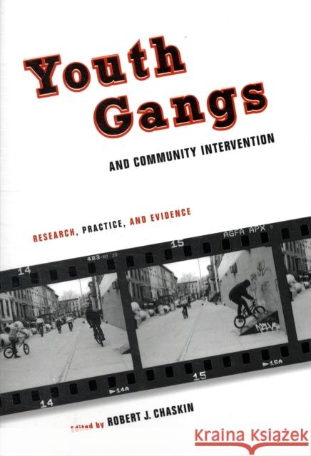 Youth Gangs and Community Intervention: Research, Practice, and Evidence Chaskin, Robert 9780231146852