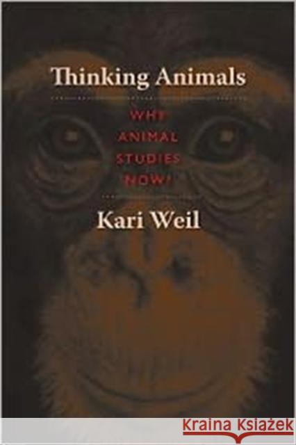 Thinking Animals: Why Animal Studies Now? Weil, Kari 9780231148085 University Press Group Ltd