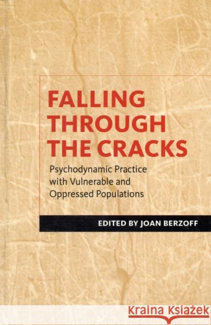 Falling Through the Cracks: Psychodynamic Practice with Vulnerable and Oppressed Populations Berzoff, Joan 9780231151085 Columbia University Press