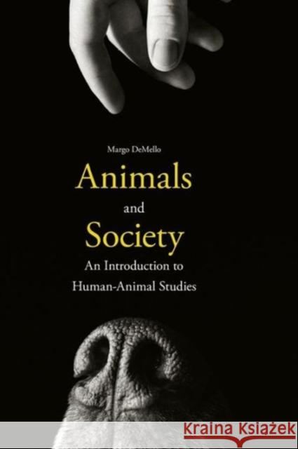 Animals and Society: An Introduction to Human-Animal Studies Demello, Margo 9780231152945