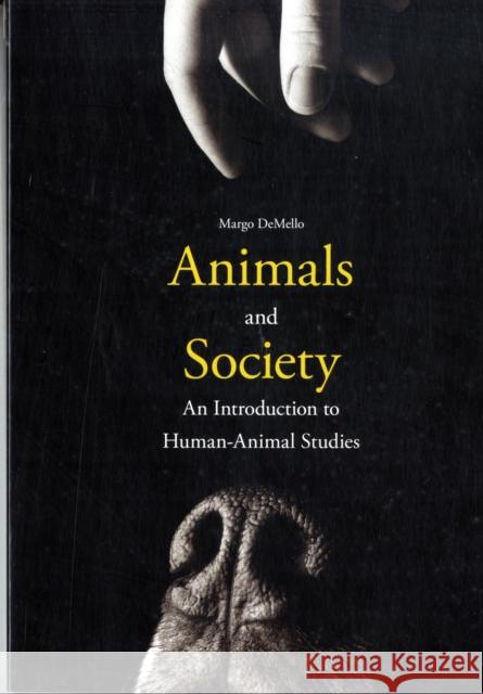 Animals and Society: An Introduction to Human-Animal Studies Demello, Margo 9780231152952