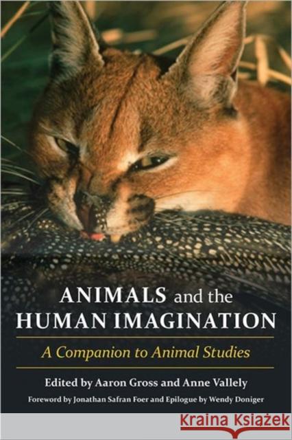 Animals and the Human Imagination: A Companion to Animal Studies Gross, Aaron 9780231152969