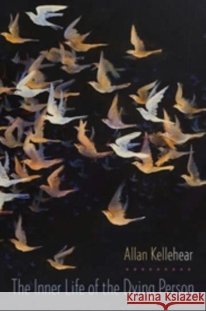 The Inner Life of the Dying Person Allan (Professor of Community Health, Middlesex University) Kellehear 9780231167857 Columbia University Press