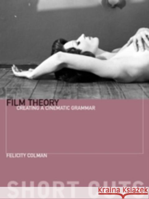 Film Theory: Creating a Cinematic Grammar Colman, Felicity 9780231169738