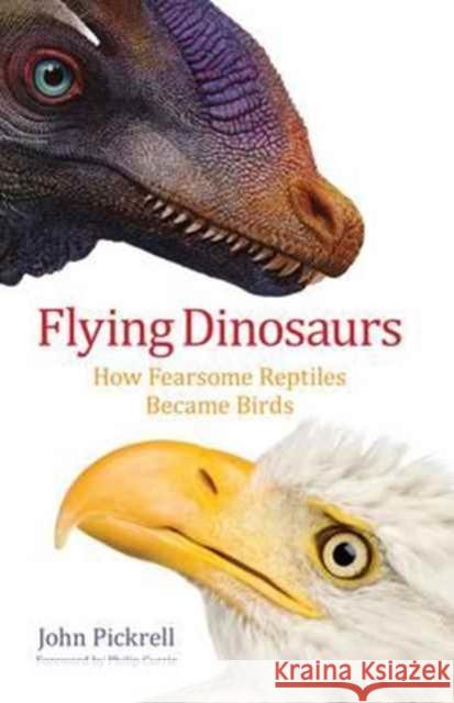 Flying Dinosaurs: How Fearsome Reptiles Became Birds John Pickrell 9780231171786 Columbia University Press