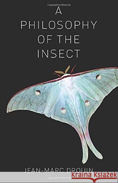 A Philosophy of the Insect Jean-Marc Drouin Anne Trager 9780231175791