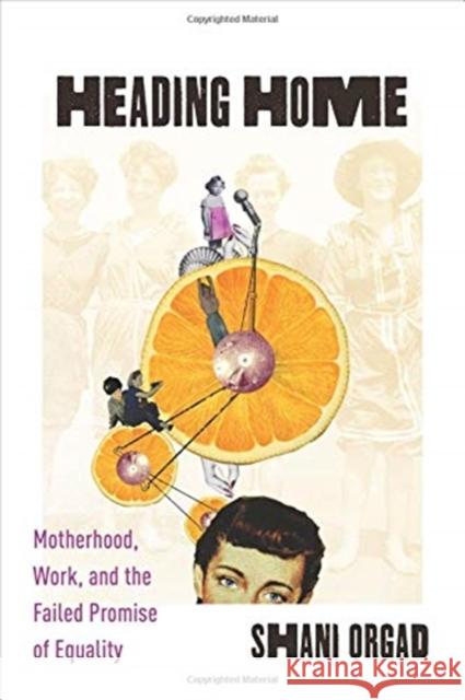 Heading Home: Motherhood, Work, and the Failed Promise of Equality Shani Orgad 9780231184724 Columbia University Press