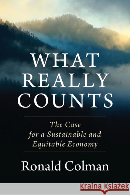 What Really Counts: The Case for a Sustainable and Equitable Economy  9780231190992 Columbia University Press