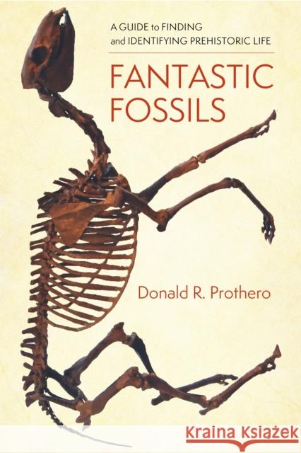 Fantastic Fossils: A Guide to Finding and Identifying Prehistoric Life Donald R. Prothero 9780231195782 Columbia University Press