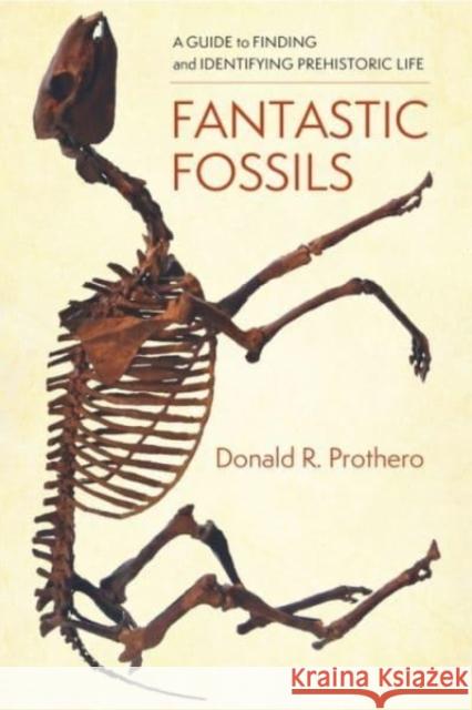 Fantastic Fossils: A Guide to Finding and Identifying Prehistoric Life  9780231195799 Columbia University Press