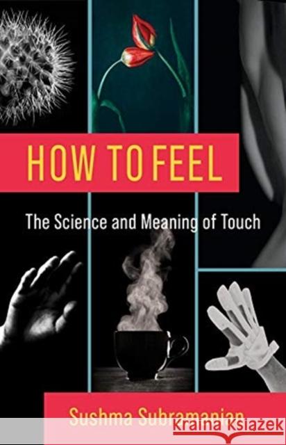 How to Feel: The Science and Meaning of Touch Sushma Subramanian 9780231199322