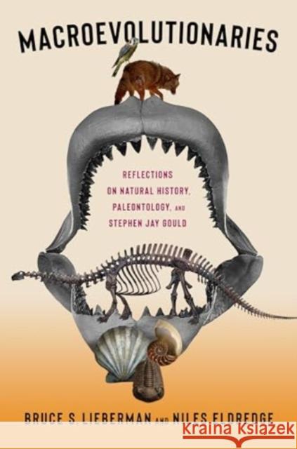 Macroevolutionaries: Reflections on Natural History, Paleontology, and Stephen Jay Gould Bruce Lieberman Niles Eldredge 9780231208109