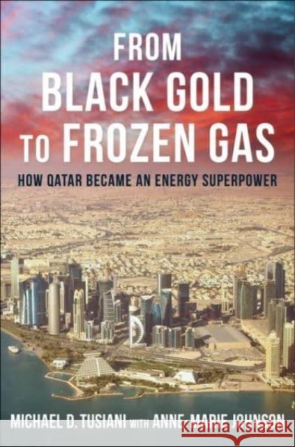 From Black Gold to Frozen Gas - How Qatar Became an Energy Superpower  9780231210867 Columbia University Press